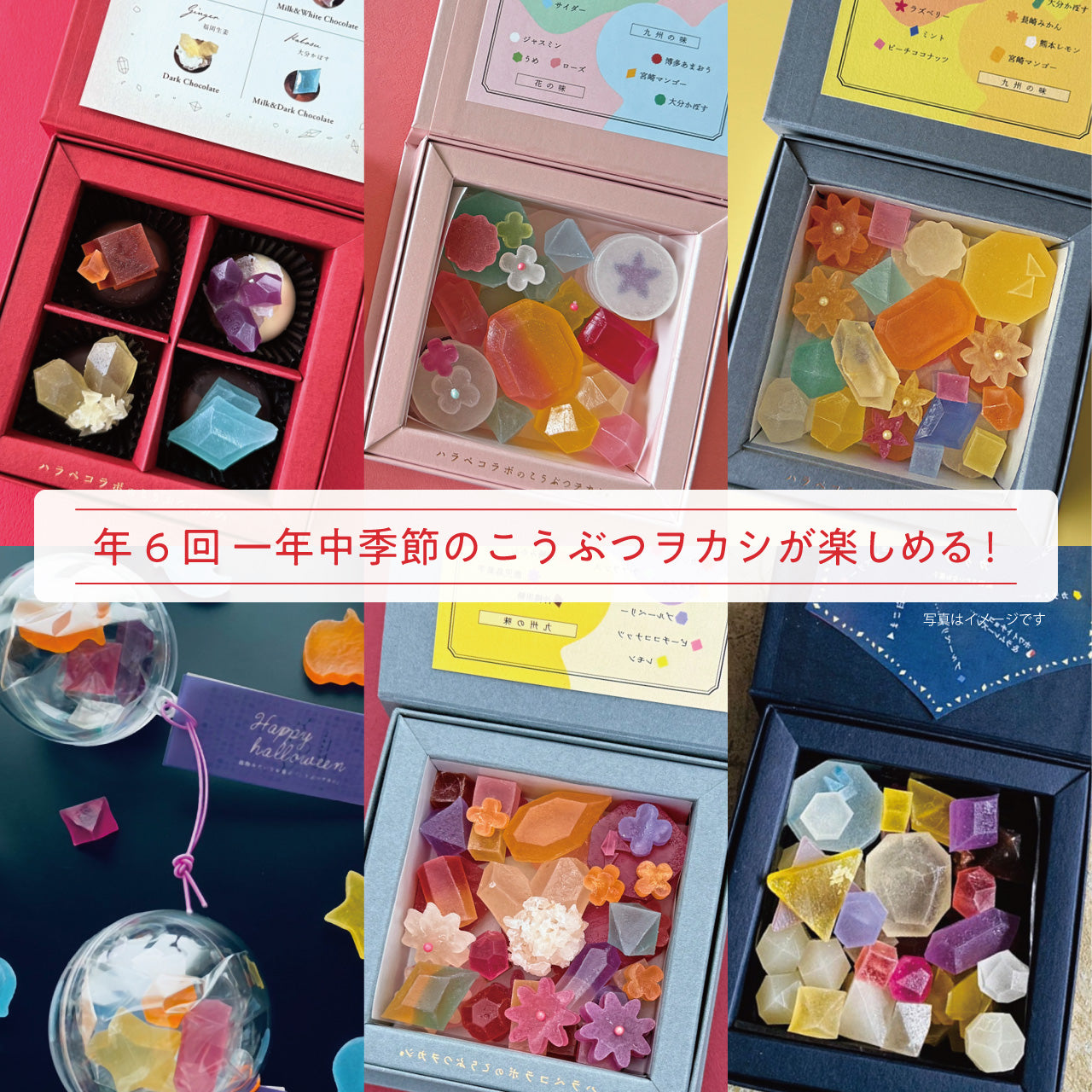 年6回届く こうぶつヲカシ季節の定期便(※一括払い)