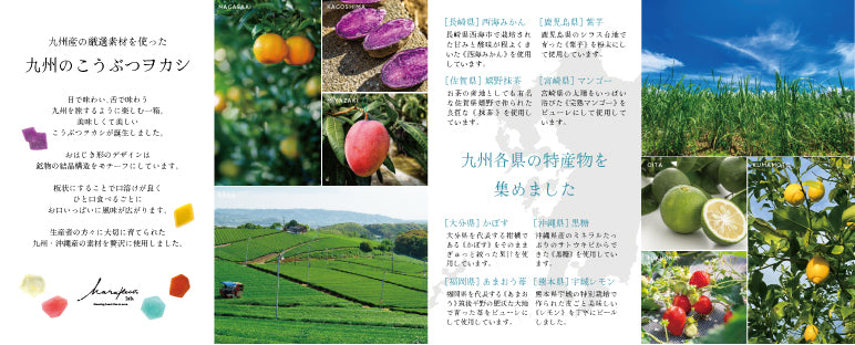 ×Dummy page for registration×Kyushu's Fruits and Vegetables