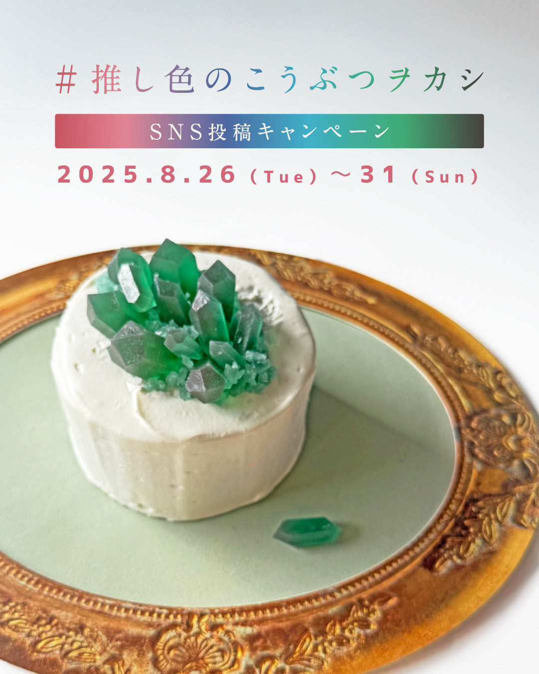 ✨ #推し色のこうぶつヲカシ SNS投稿キャンペーン ✨