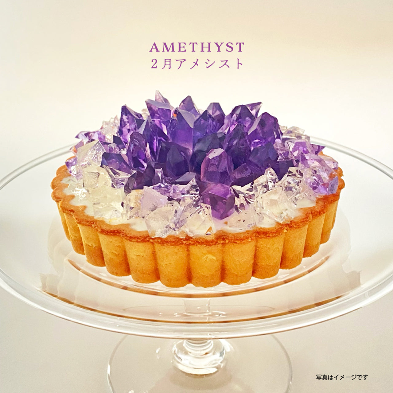 《冷凍便》12ヶ月の誕生石のタルトお届けコース