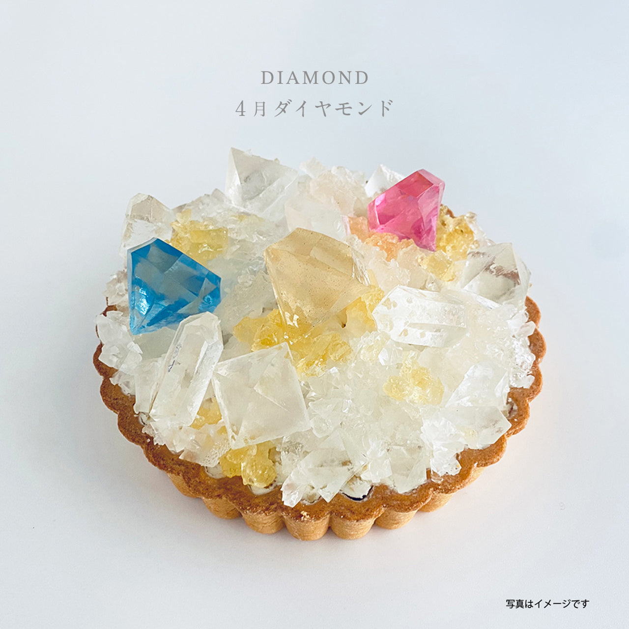 《冷凍便》12ヶ月の誕生石のタルトお届けコース