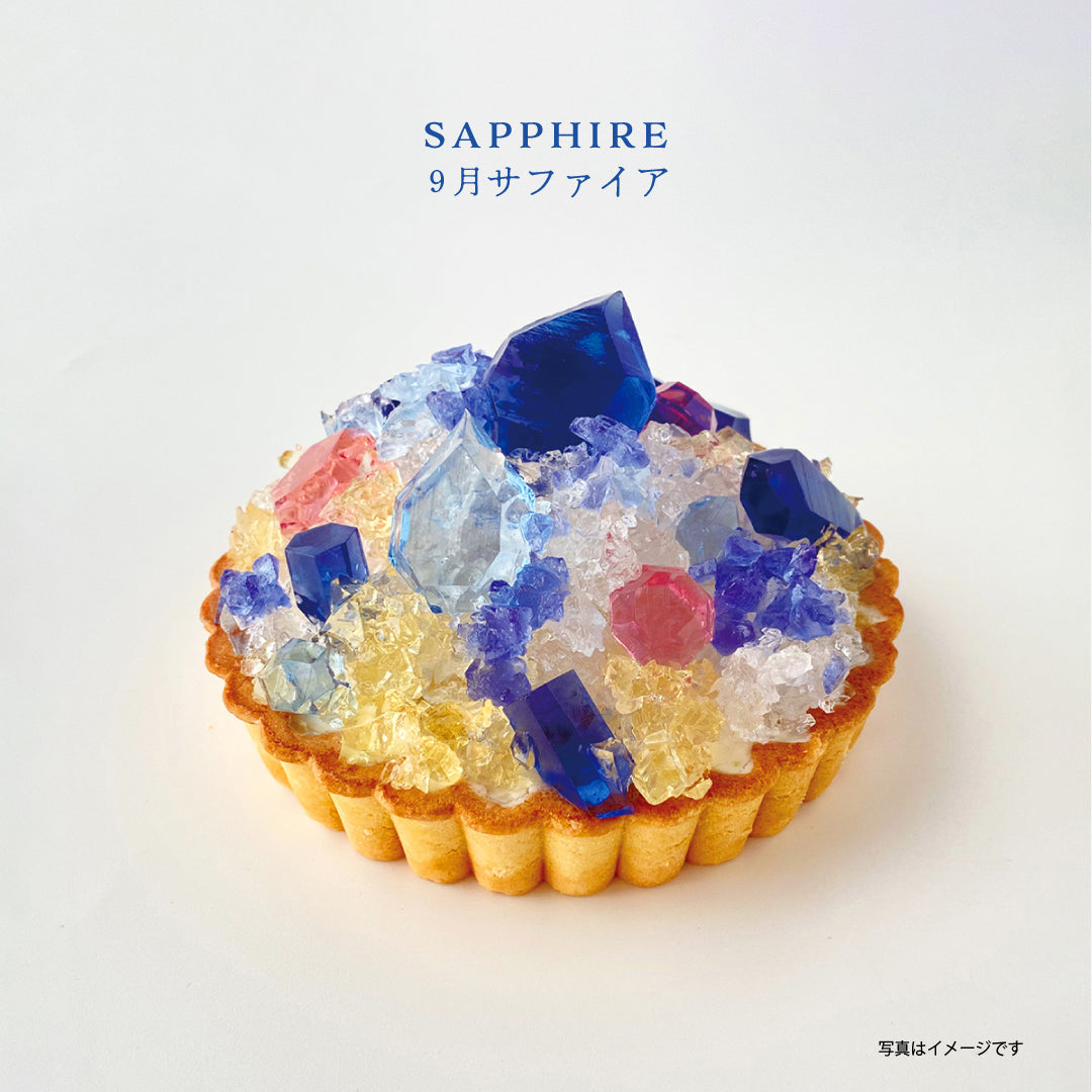 《冷凍便》12ヶ月の誕生石のタルトお届けコース