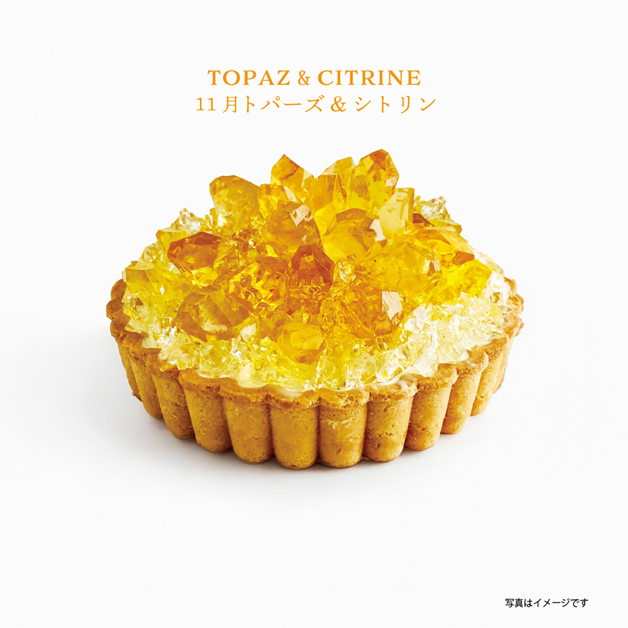 《冷凍便》12ヶ月の誕生石のタルトお届けコース