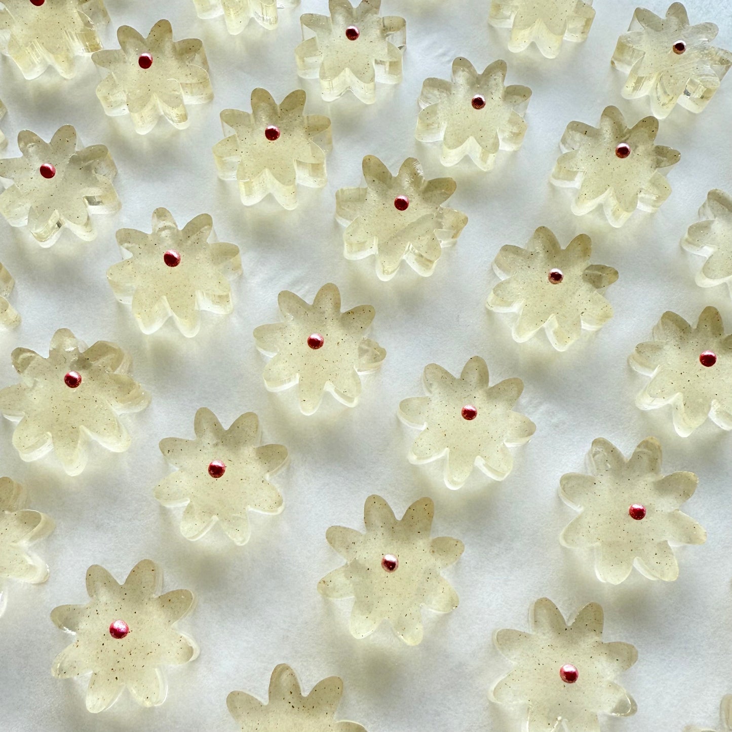 こうぶつのカケラ　~Autumn flowers~　［期間限定］