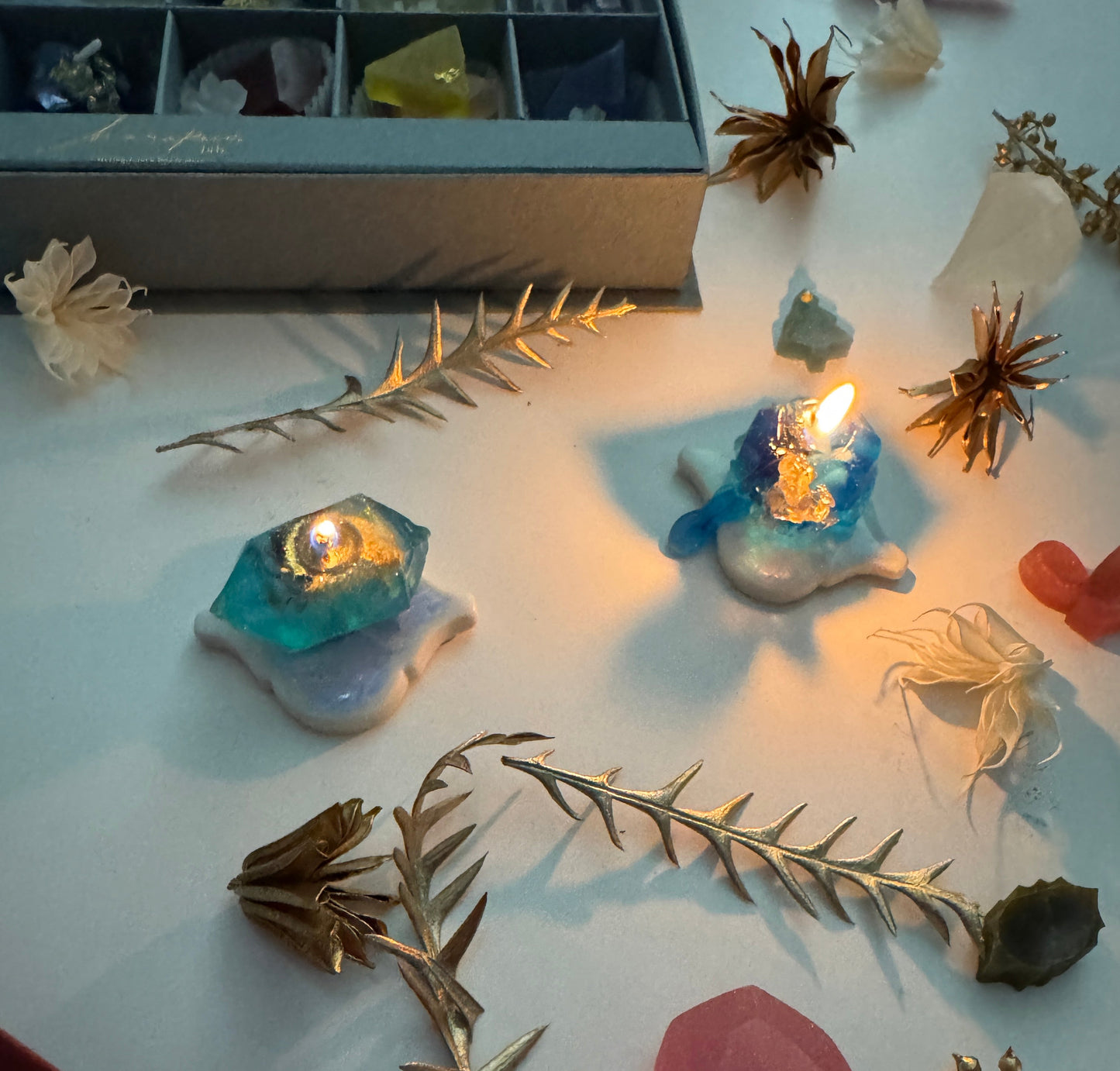 冬のこうぶつヲカシ 12粒採取箱　［期間限定］