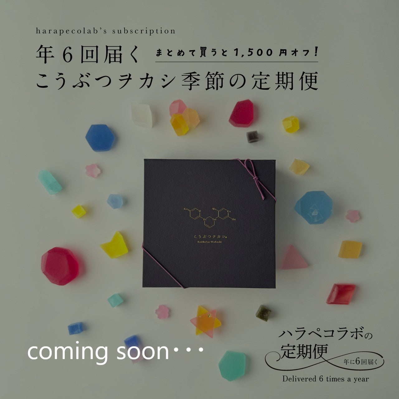年6回届く　こうぶつヲカシ季節の定期便（※一括払い）