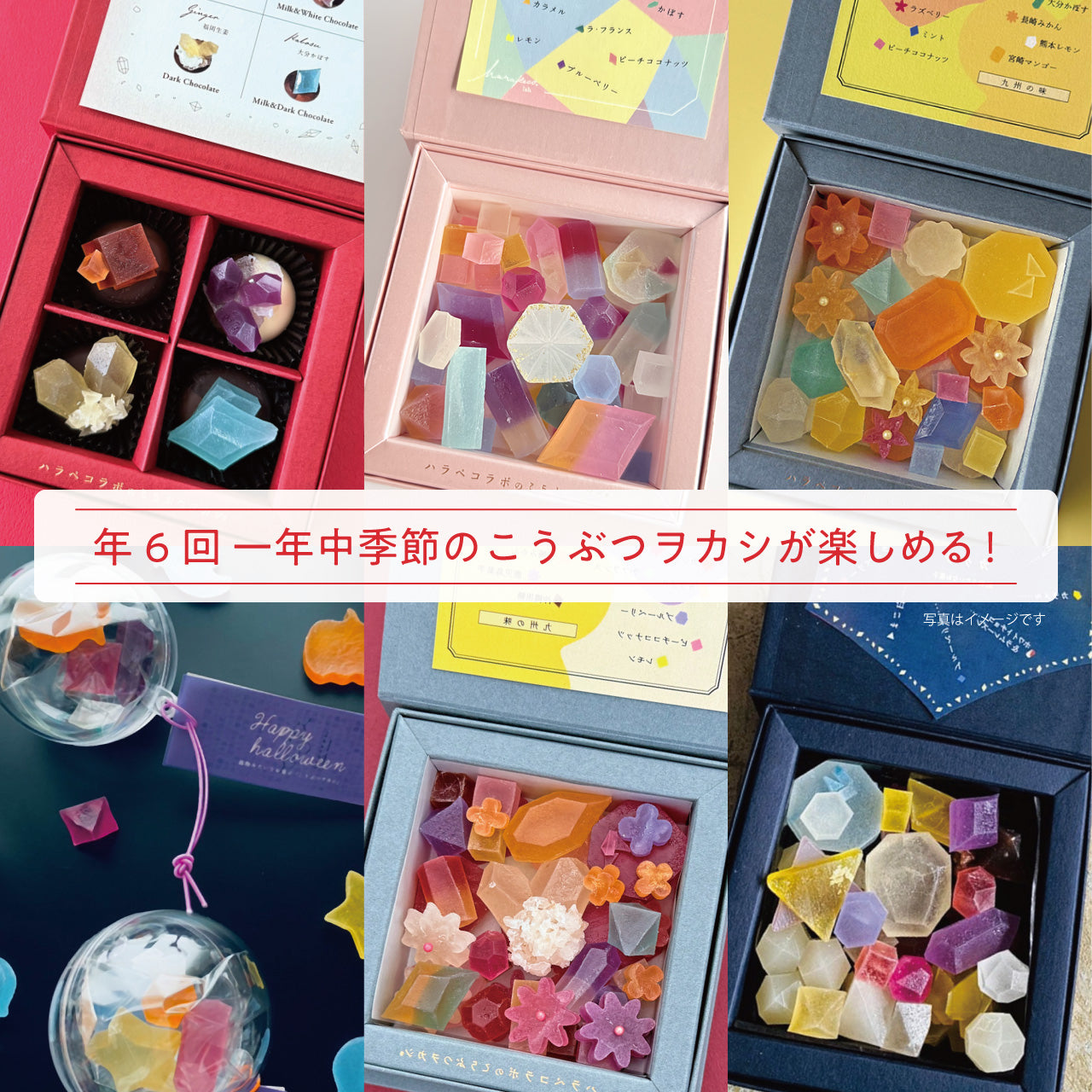 年6回届く　こうぶつヲカシ季節の定期便（※一括払い）