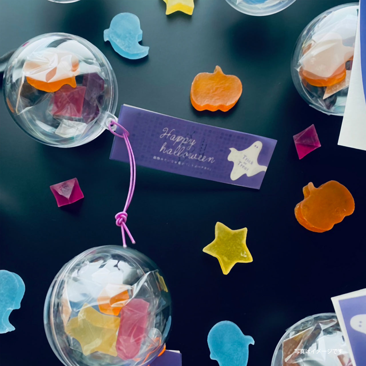 年6回届く　こうぶつヲカシ季節の定期便（※一括払い）