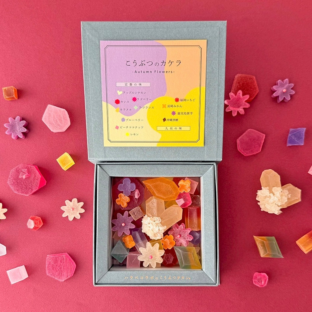 こうぶつのカケラ　~Autumn flowers~　［期間限定］