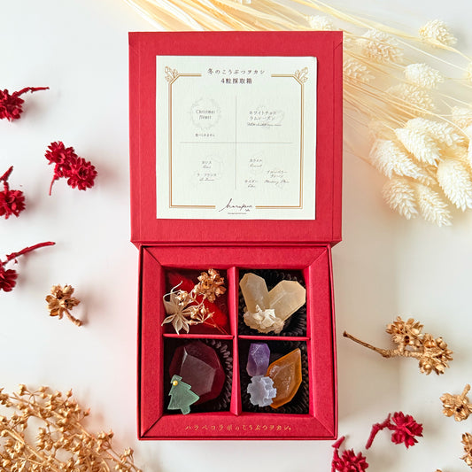 冬のこうぶつヲカシ 4粒採取箱　［期間限定］