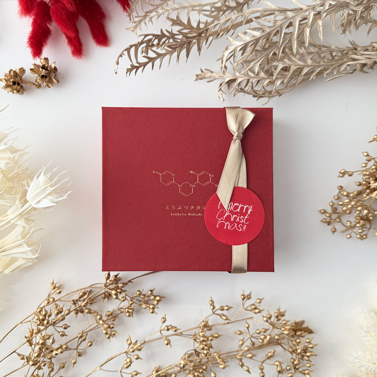 冬のこうぶつヲカシ 4粒採取箱　［期間限定］