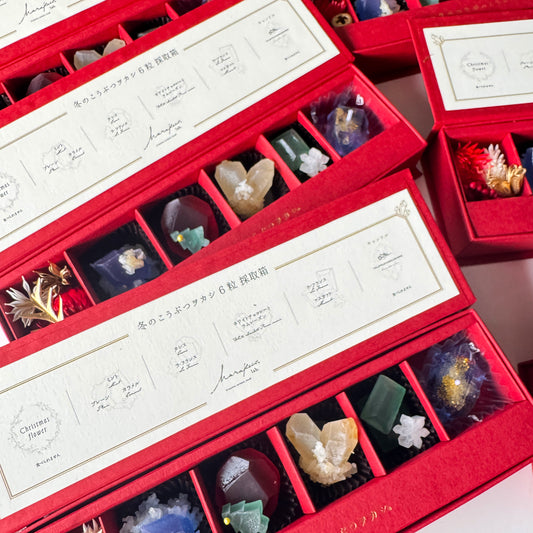 冬のこうぶつヲカシ 6粒採取箱　［期間限定］