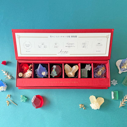 冬のこうぶつヲカシ 6粒採取箱　［期間限定］