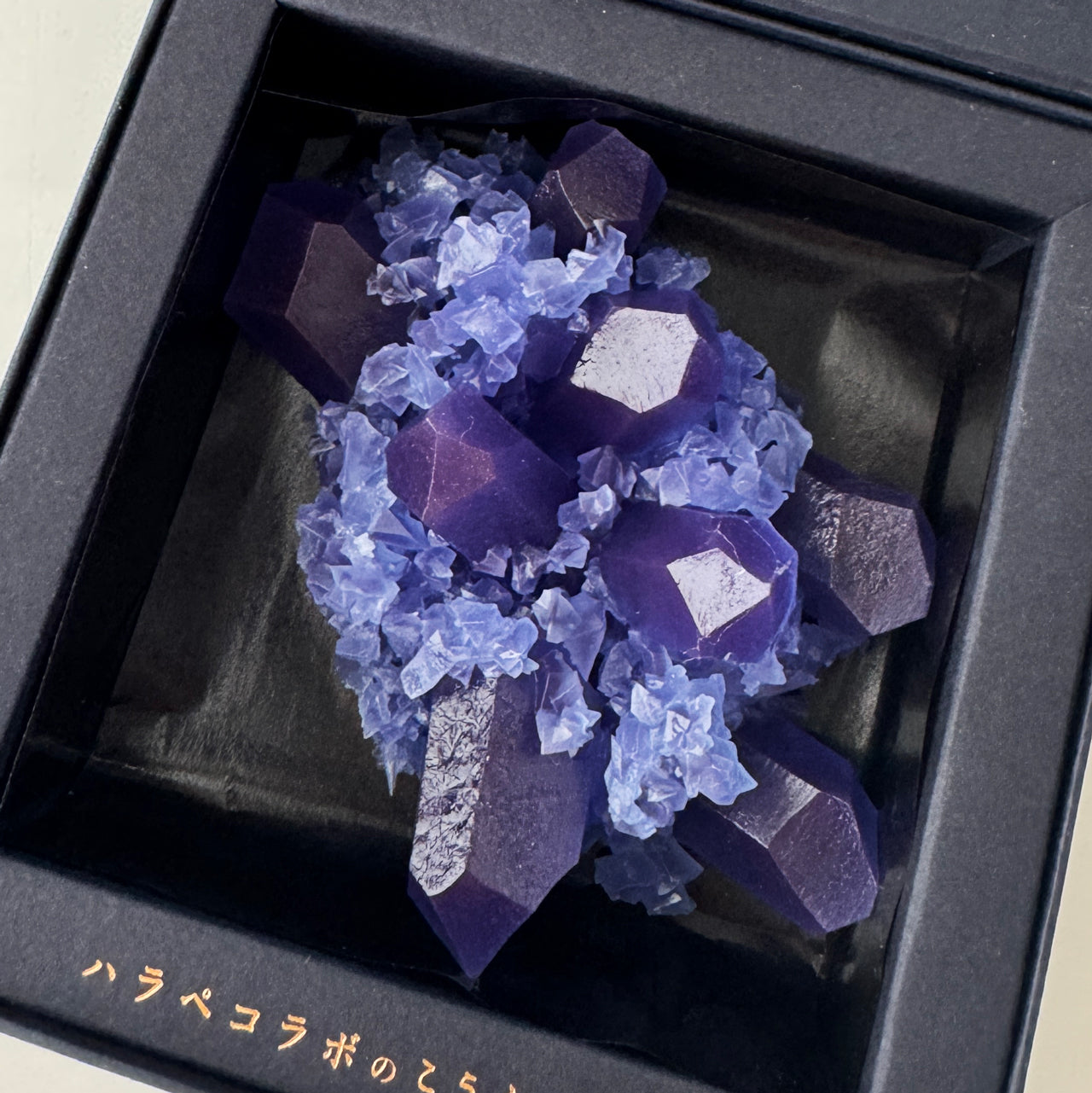 <予約> 推し色のこうぶつヲカシ　[期間限定]
