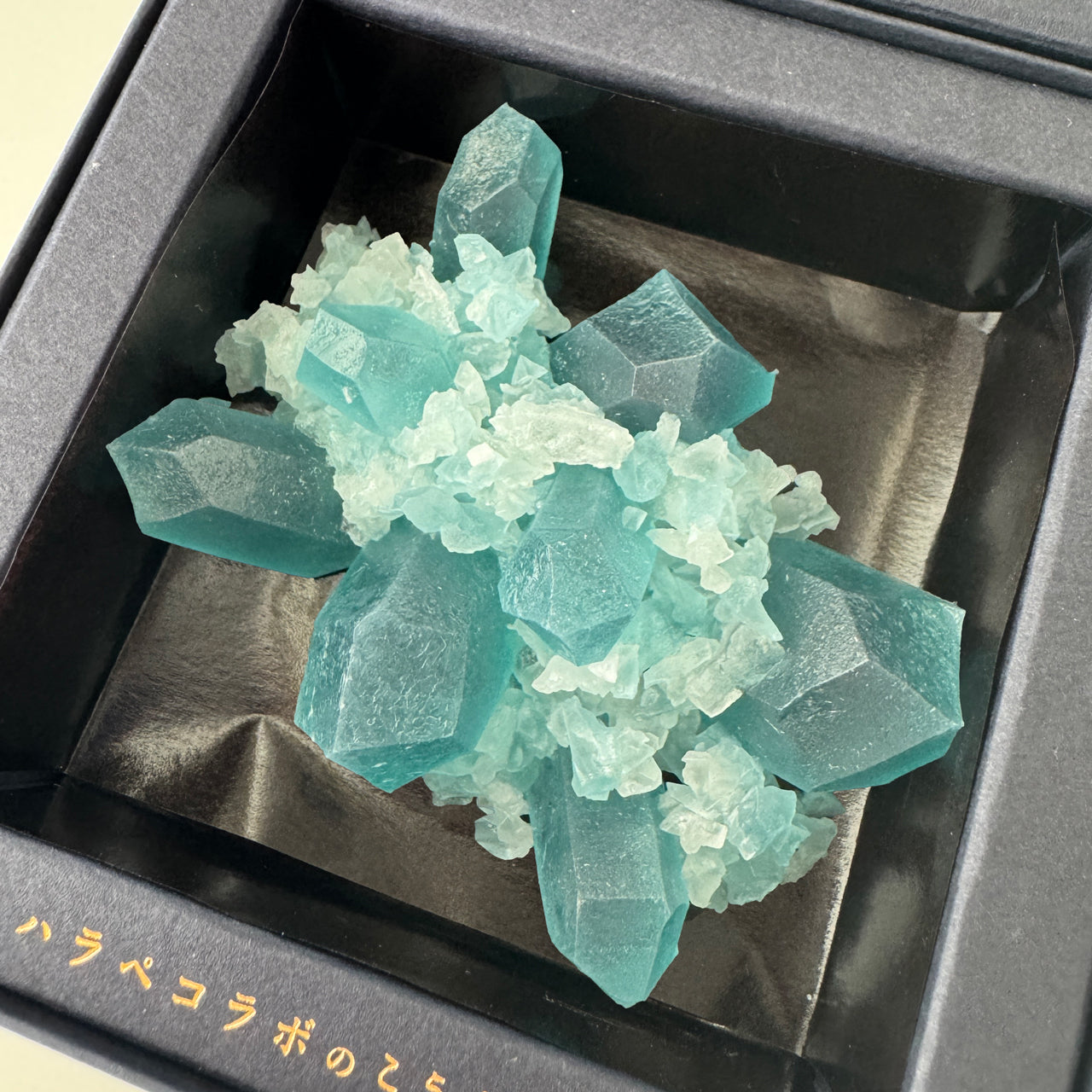 <予約> 推し色のこうぶつヲカシ　[期間限定]