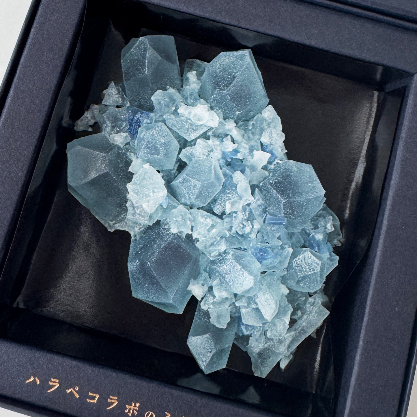 <予約> 推し色のこうぶつヲカシ　[期間限定]