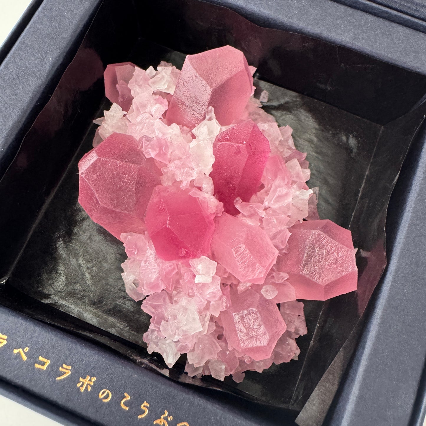<予約> 推し色のこうぶつヲカシ　[期間限定]