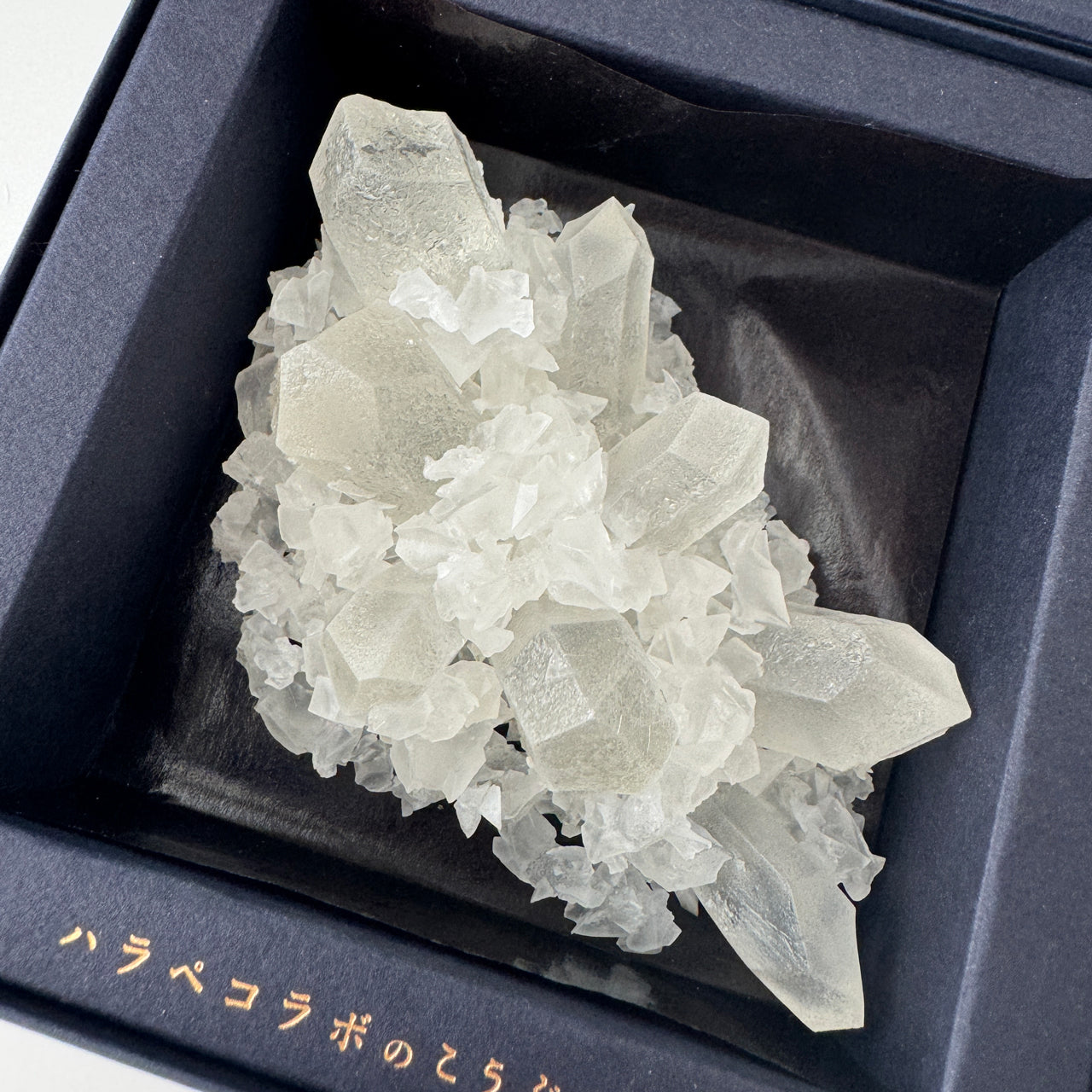 <予約> 推し色のこうぶつヲカシ　[期間限定]