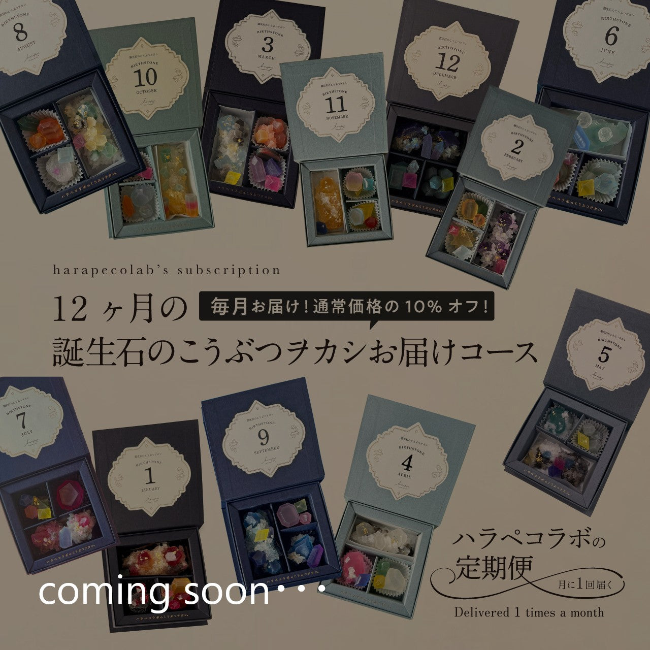 12ヶ月の誕生石のこうぶつヲカシお届けコース