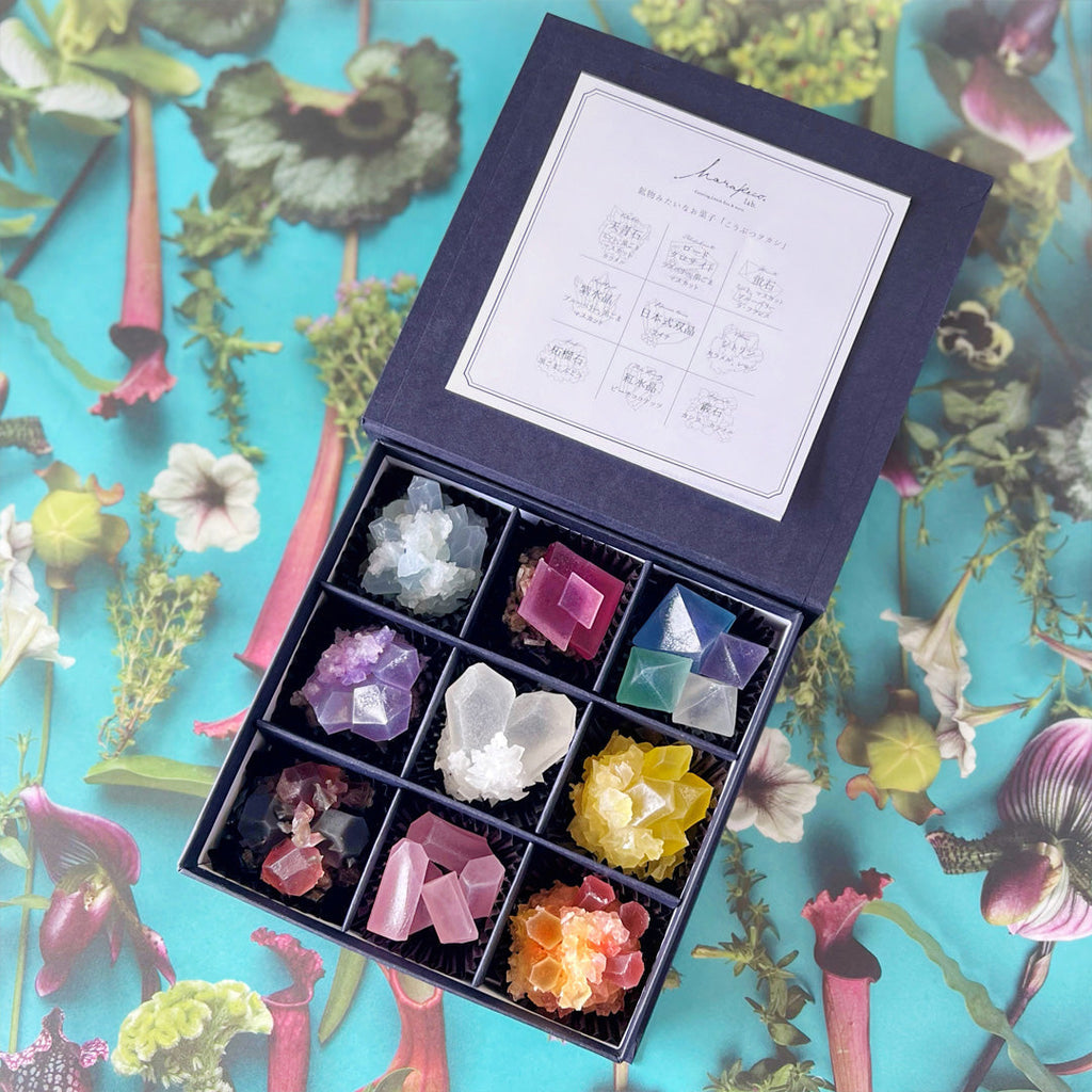 ✥ ミツバハマゴウ ✥ ユーカリポポラス ✥ ロシアンオリーブ