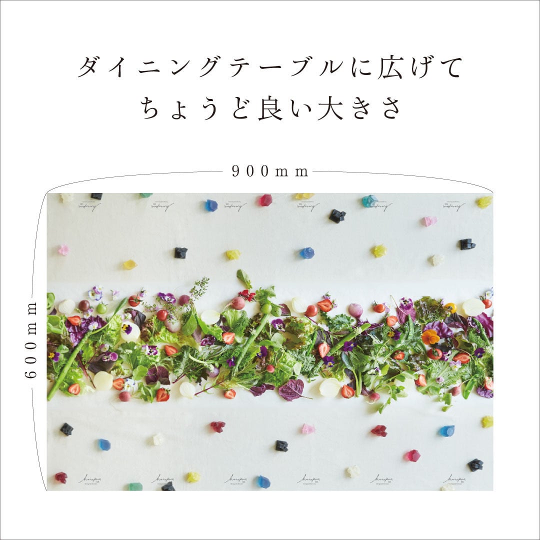 グッズ] サラダロードシート 3セット(2枚入×3) – ハラペコラボ